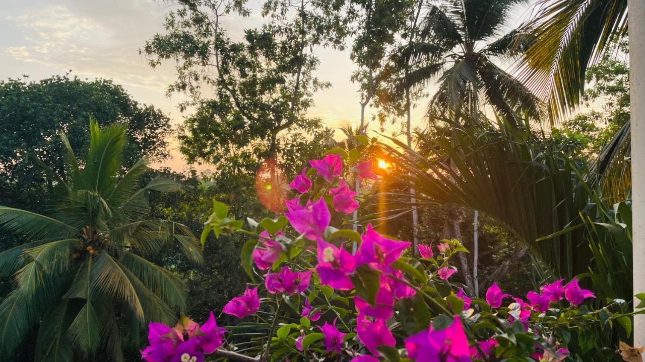 Bouganvilla House Unawatuna Dış mekan fotoğraf