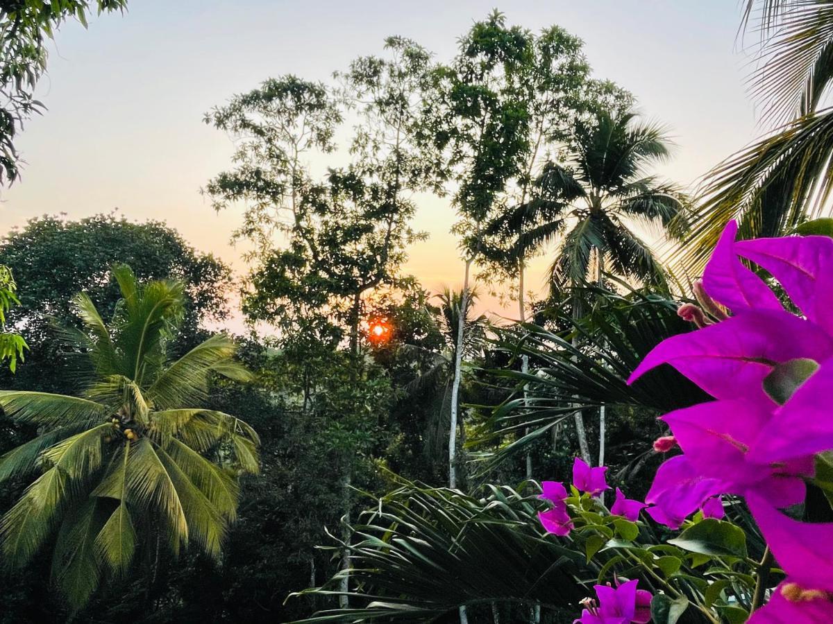 Bouganvilla House Unawatuna Dış mekan fotoğraf